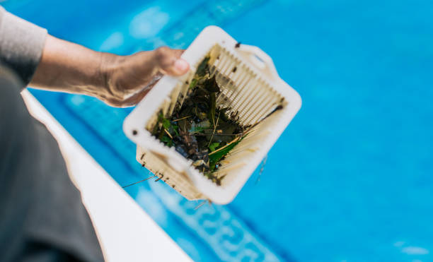 Best Estate Cleanout Services  in Nevada, IA